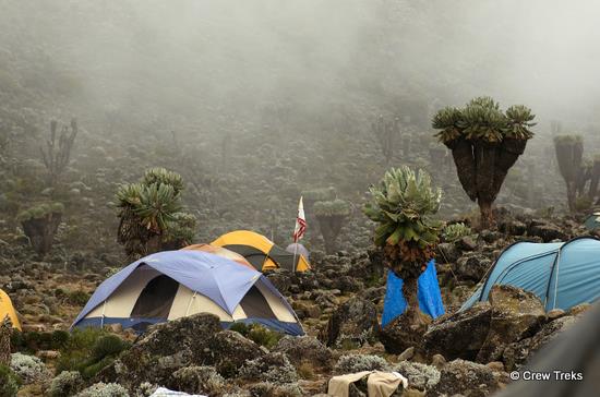 Mt. Kilimanjaro, Barranco Camp On Machame Route